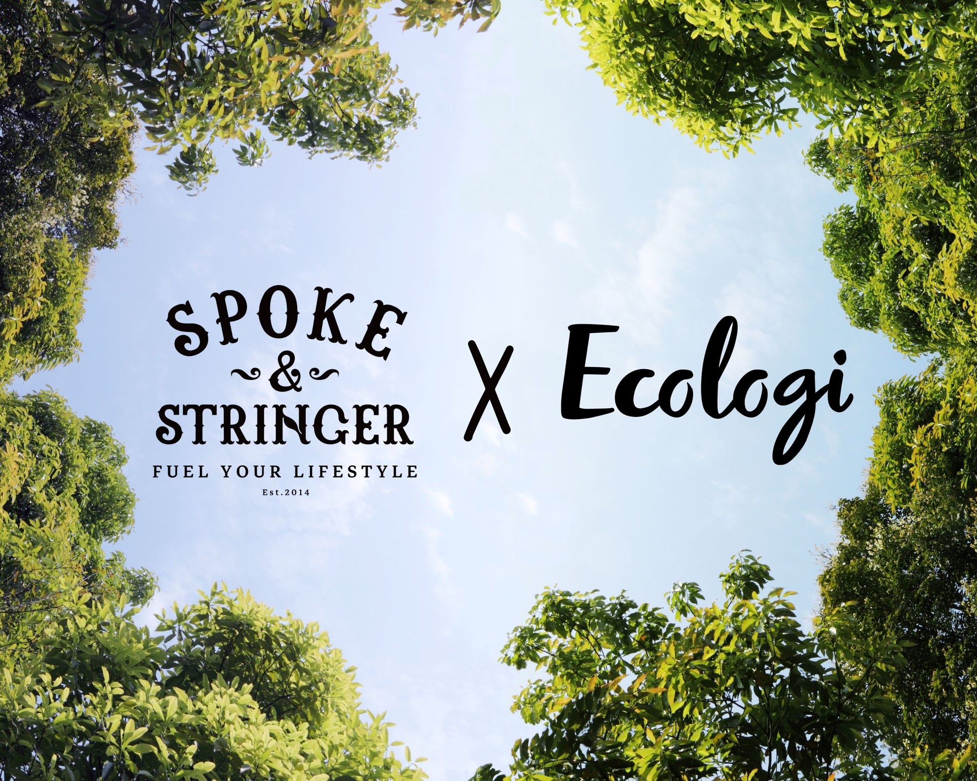 Spoke & Stringer X Ecologi