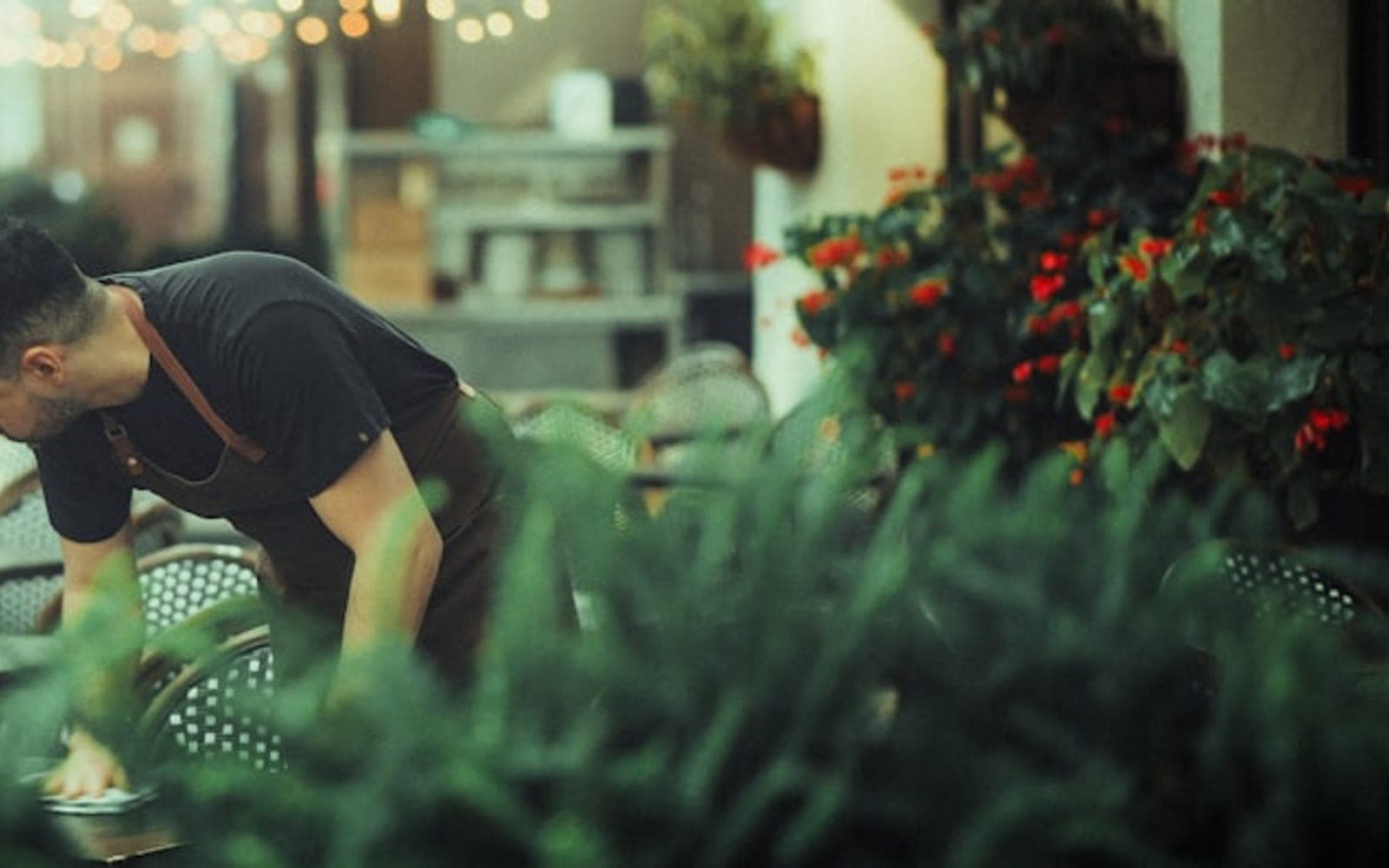 Man tending to lush green plants indoors.