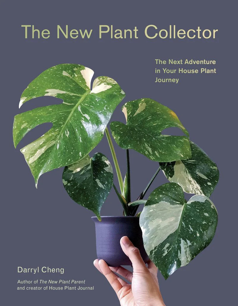 New Plant Collector - Darryl Cheng